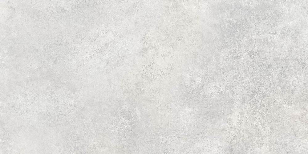 Корнион светло-серый